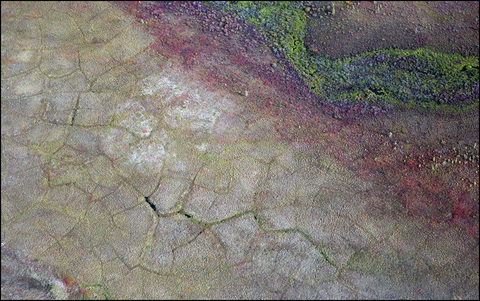 Kobuk Valley National Park