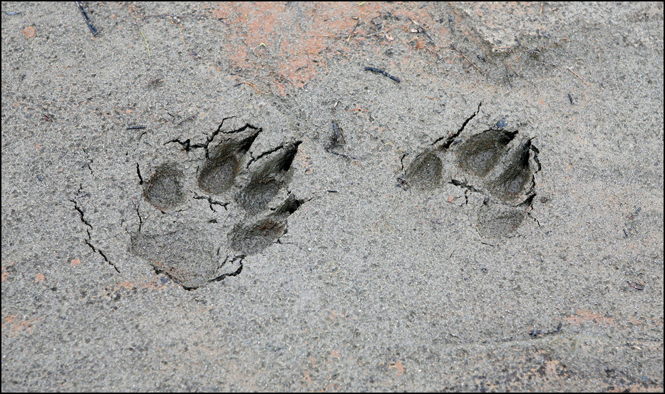 Kobuk Valley National Park