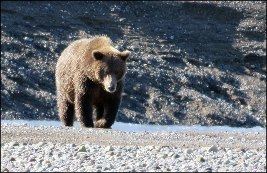 Lake Clark National Park