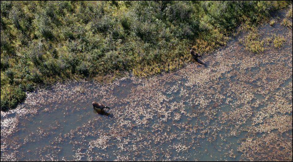 Lake Clark National Park