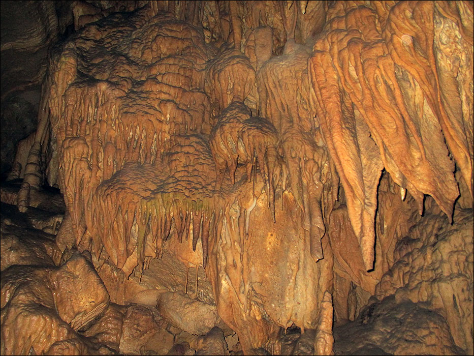 Mammoth Cave National Park