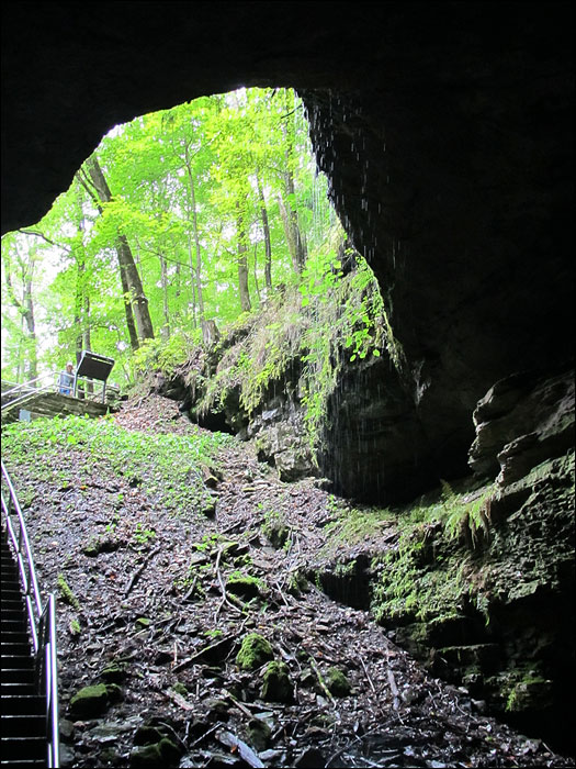 Mammoth Cave National Park