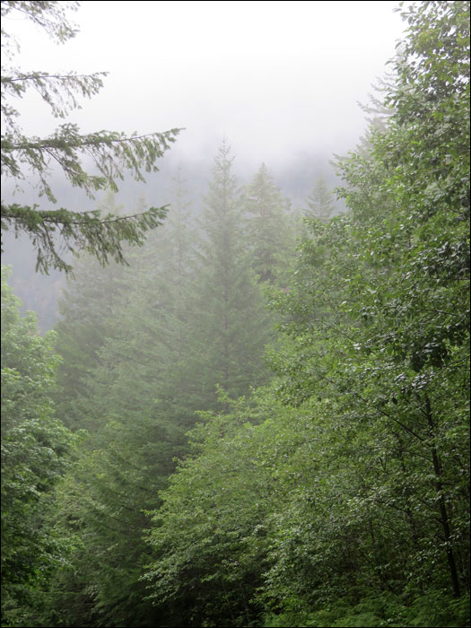 North Cascades National Park
