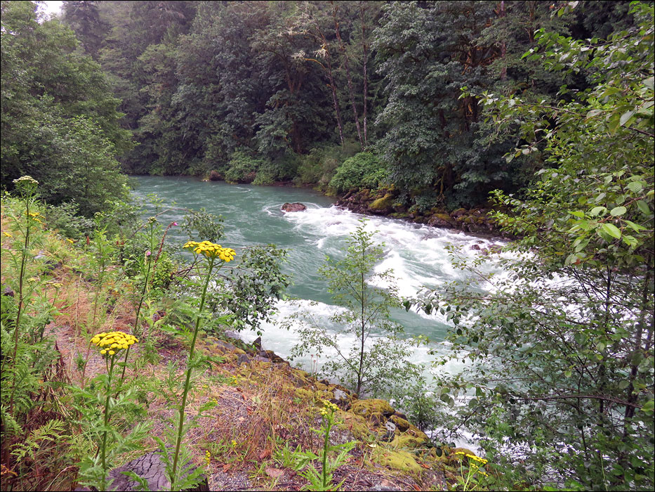 North Cascades National Park