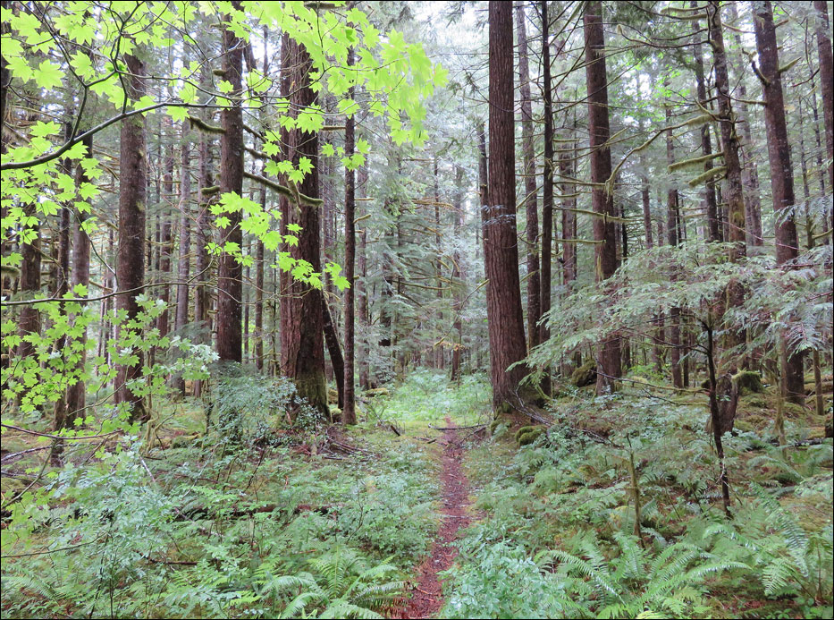 North Cascades National Park