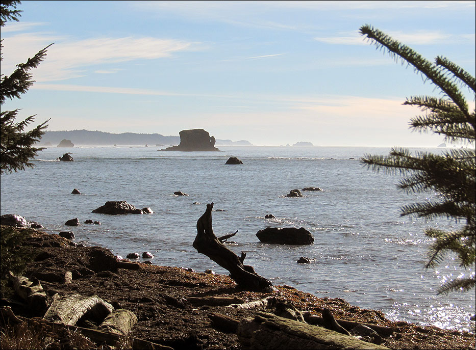 Olympic National Park