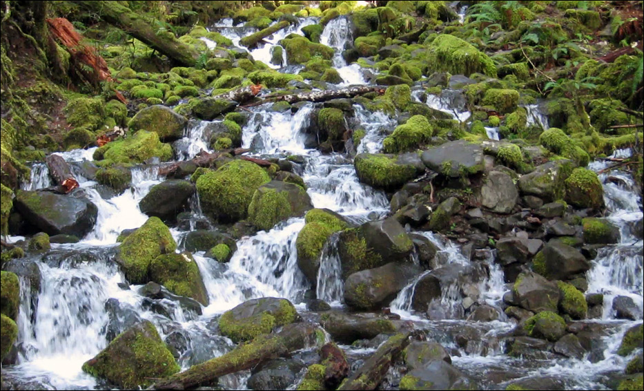Olympic National Park