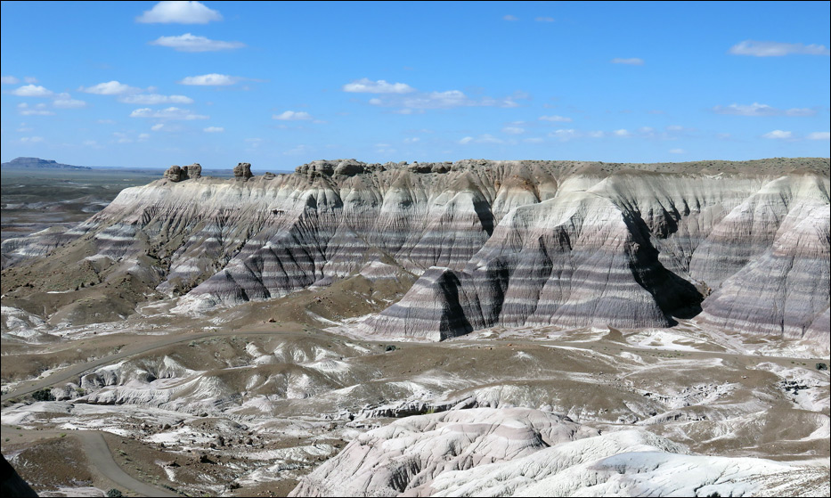 Petrified Forest National Park