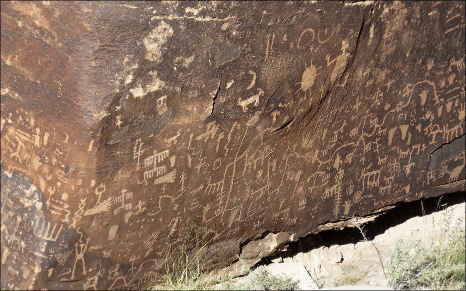 Petrified Forest National Park