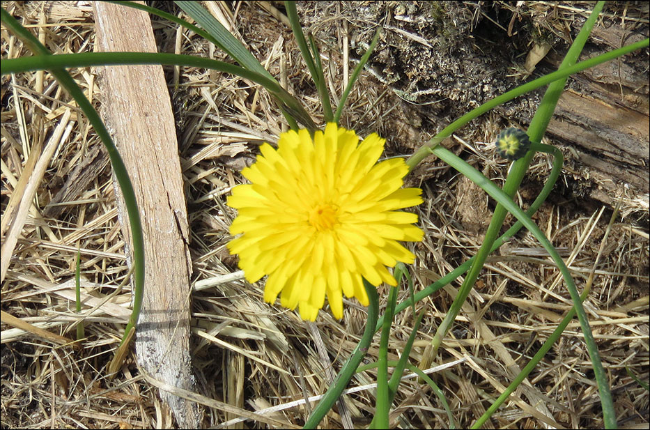 Redwood National Park