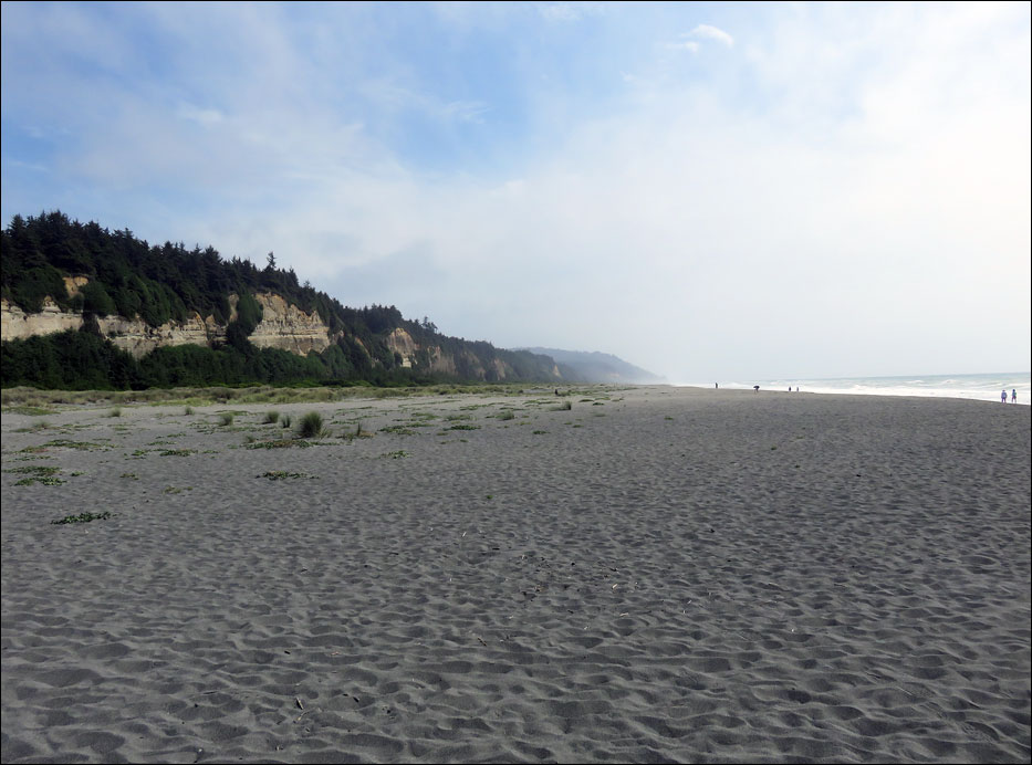 Redwood National Park