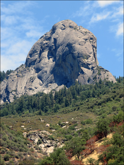 Sequoia National Park