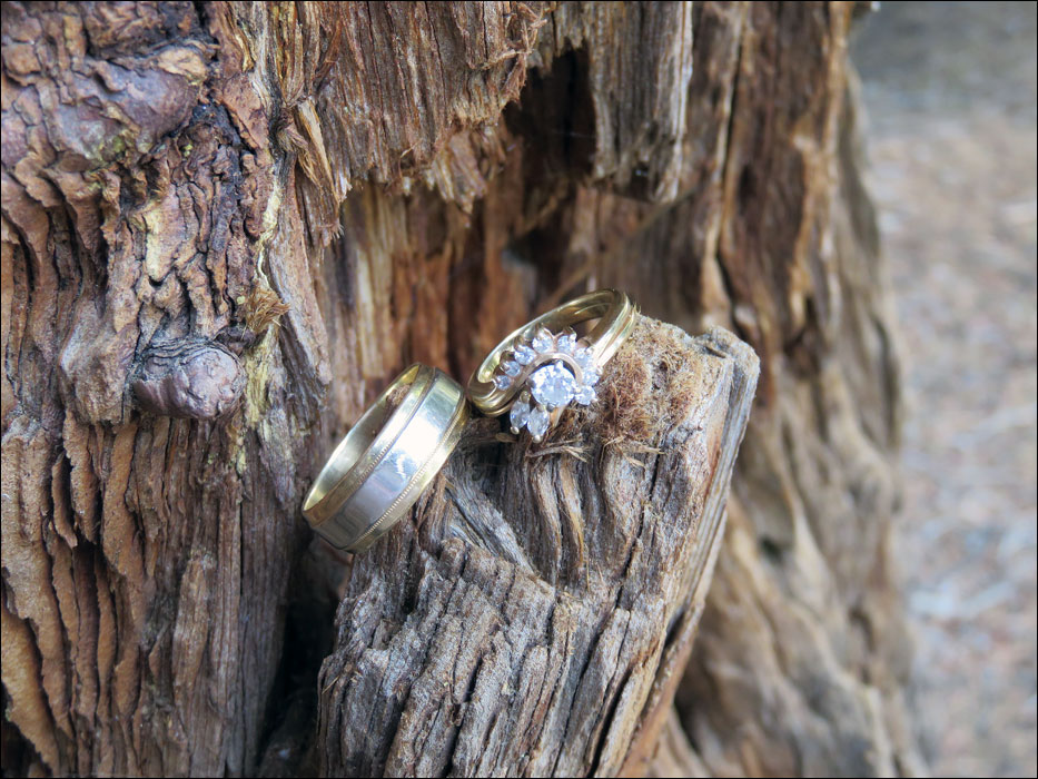 Sequoia National Park