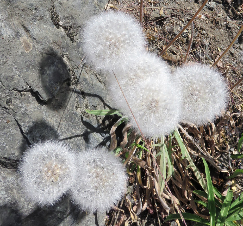 Sequoia National Park
