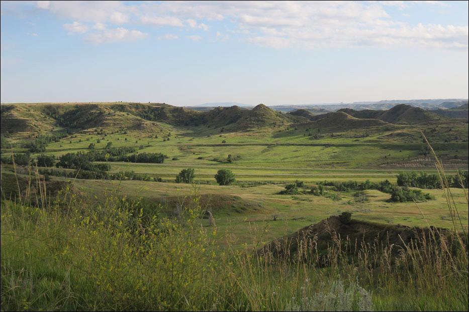 Theodore Roosevelt National Park