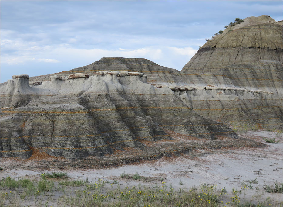 Theodore Roosevelt National Park