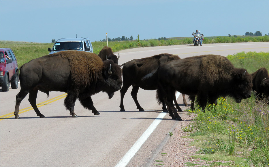 Wind Cave National Park