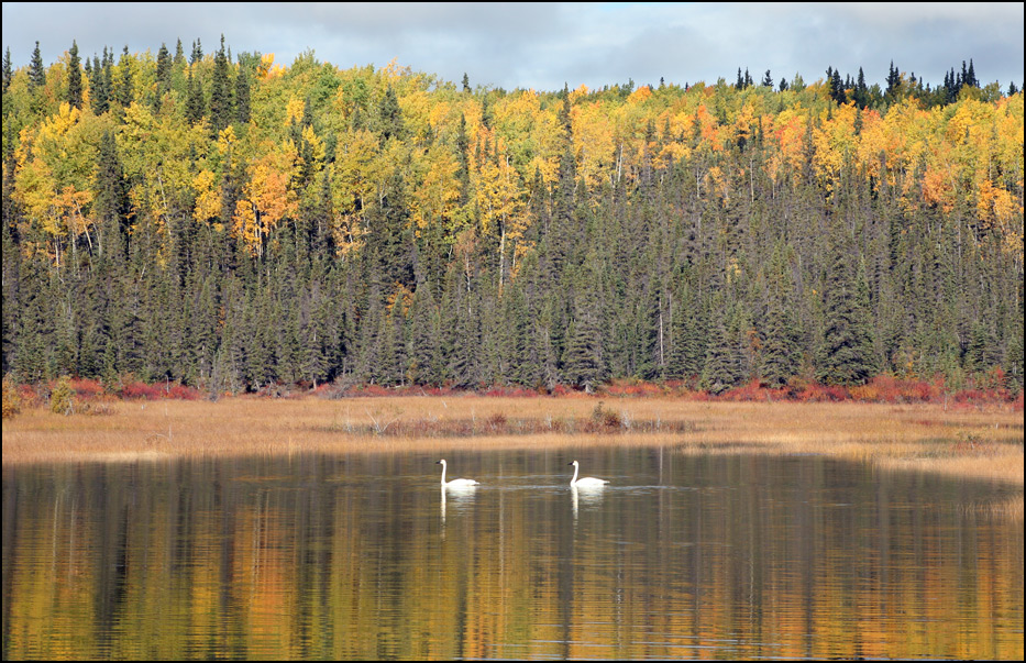 Wrangell-St. Elias National Park