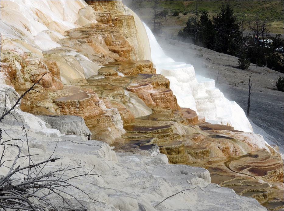Yellowstone National Park