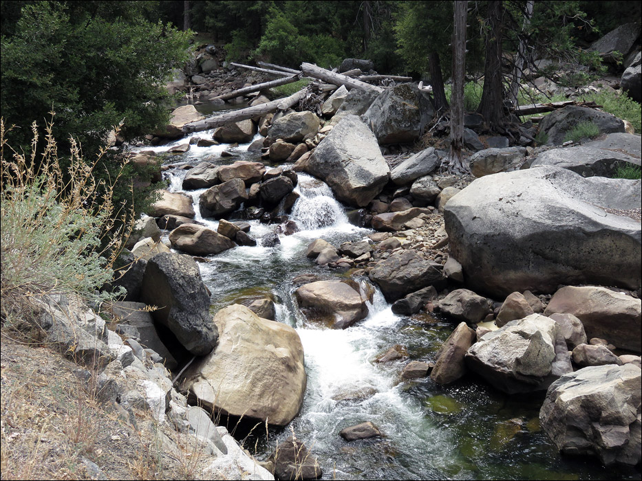 Yosemite National Park