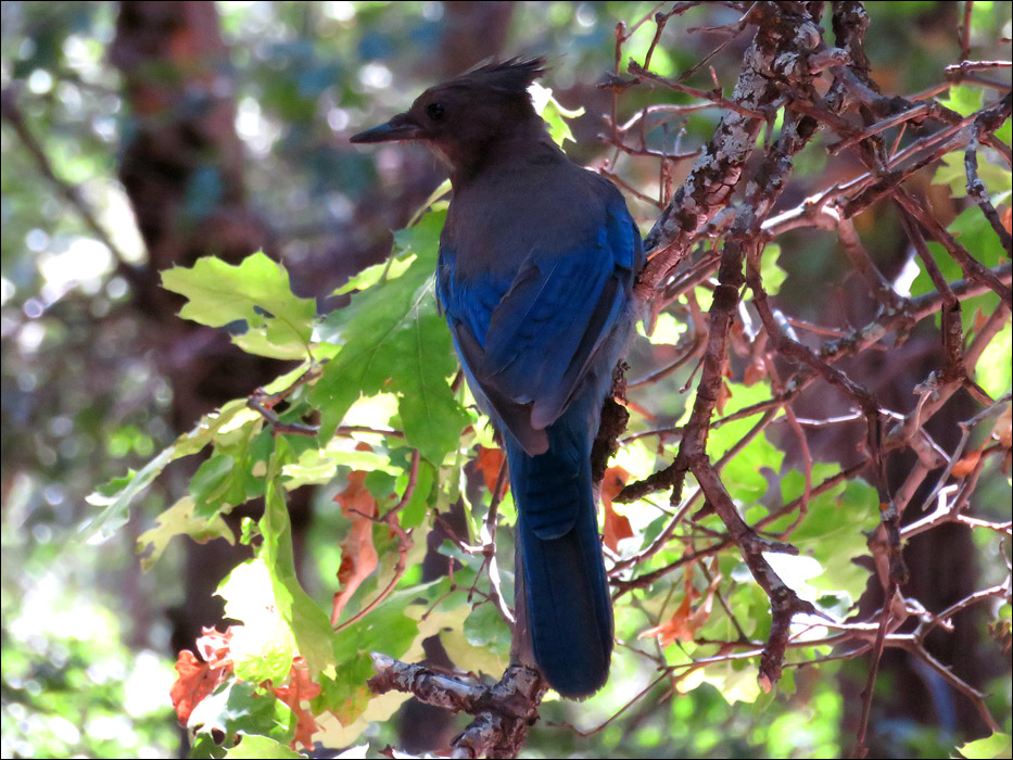 Yosemite National Park
