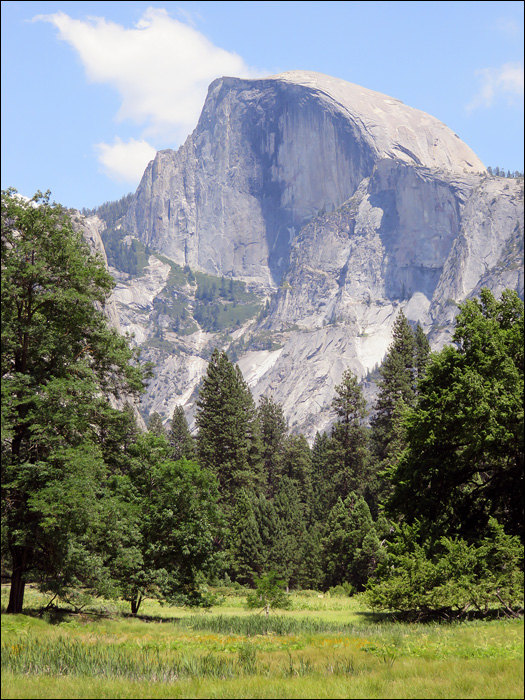 Yosemite National Park